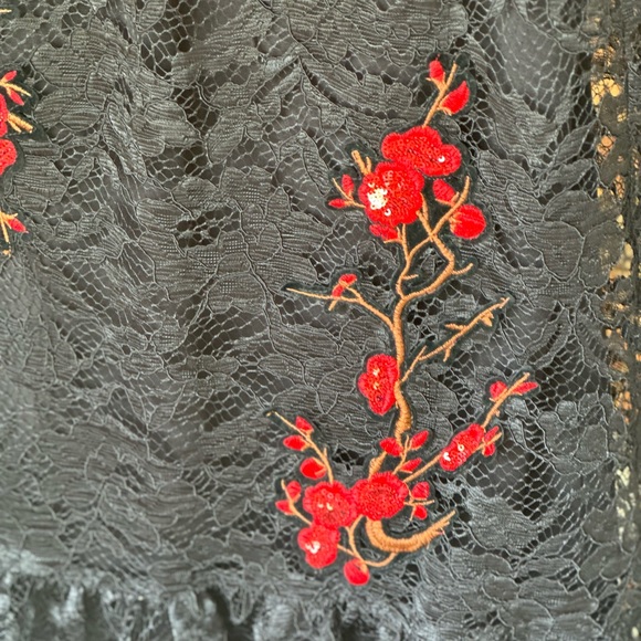 Nicole Miller Black Red Lace Sleeveless Christmas Holiday NYE Dress  Sz 12 - Picture 7 of 11